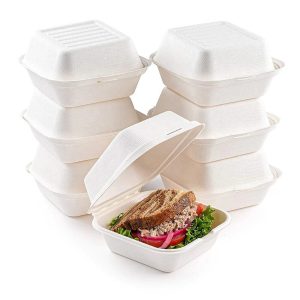 Biodegradable Burger Box
